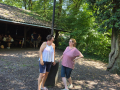 kep_004