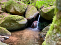 kep_14