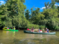 kep_008